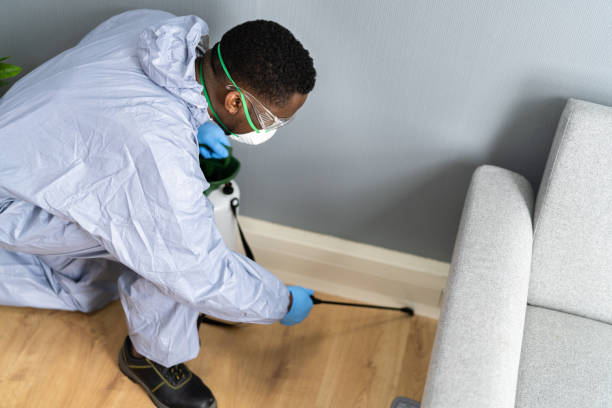 Best Commercial Pest Control  in El Monte, CA